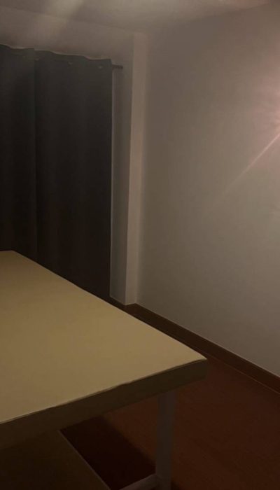 드래곤 스웨디시