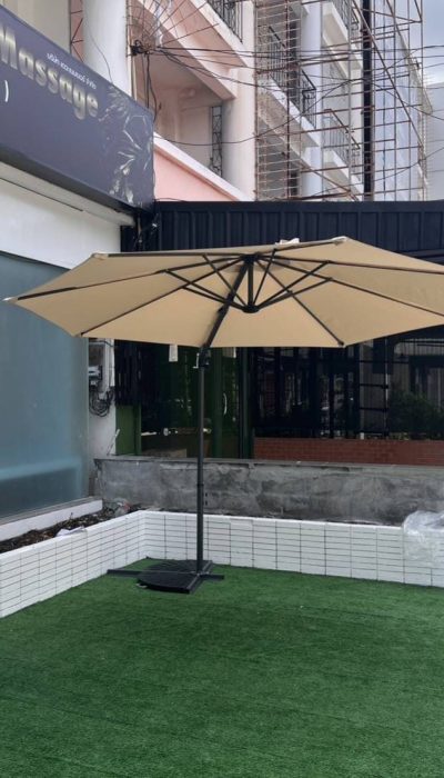 드래곤 스웨디시