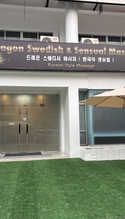 드래곤 스웨디시