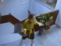 태국의 흥 조절실패로 혼나는 직원😅