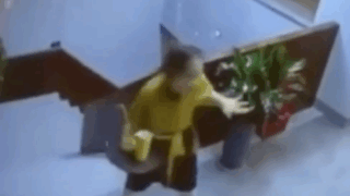 태국의 흥 조절실패로 혼나는 직원😅