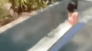 전방주시를 게을리하면??