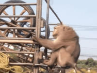 아저씨 방콕가요??