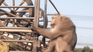 아저씨 방콕가요??