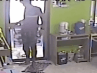 이번엔 피시방에 뱀이 나타났다?!