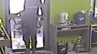 이번엔 피시방에 뱀이 나타났다?!