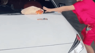 태국에서 빵! 거리면 안되는 이유 (본넷에 던짐ㅋㅋㅋ)