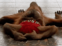 내가 지금 뭘 본거지?? ㅋㅋㅋ