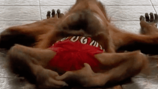 내가 지금 뭘 본거지?? ㅋㅋㅋ