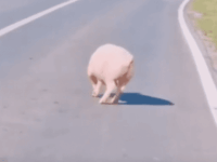 아.. 아저씨? 저 여기서 내려요??