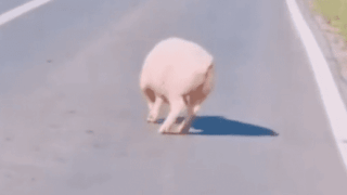 아.. 아저씨? 저 여기서 내려요??