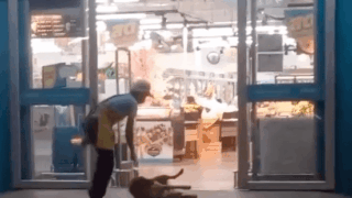 무단출입으로 끌려나가는 댕댕이ㅋㅋㅋ