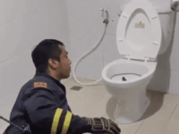 화장실변기에 뱀이?!