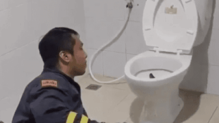 화장실변기에 뱀이?!