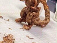 태국의 바선생으로 만든 작품