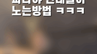 [고객영상후기] 타이웨이 미쳤음 ㅋㅋㅋ 이용후기