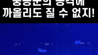 [고객영상후기] 파타야에서 새장되기싫으면 무조건 임팩트 가세요 ㅋㅋ